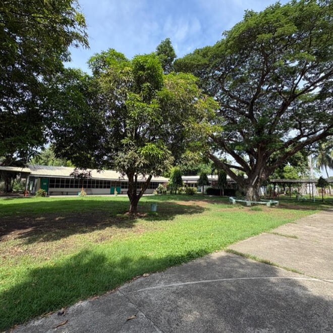Grounds 2